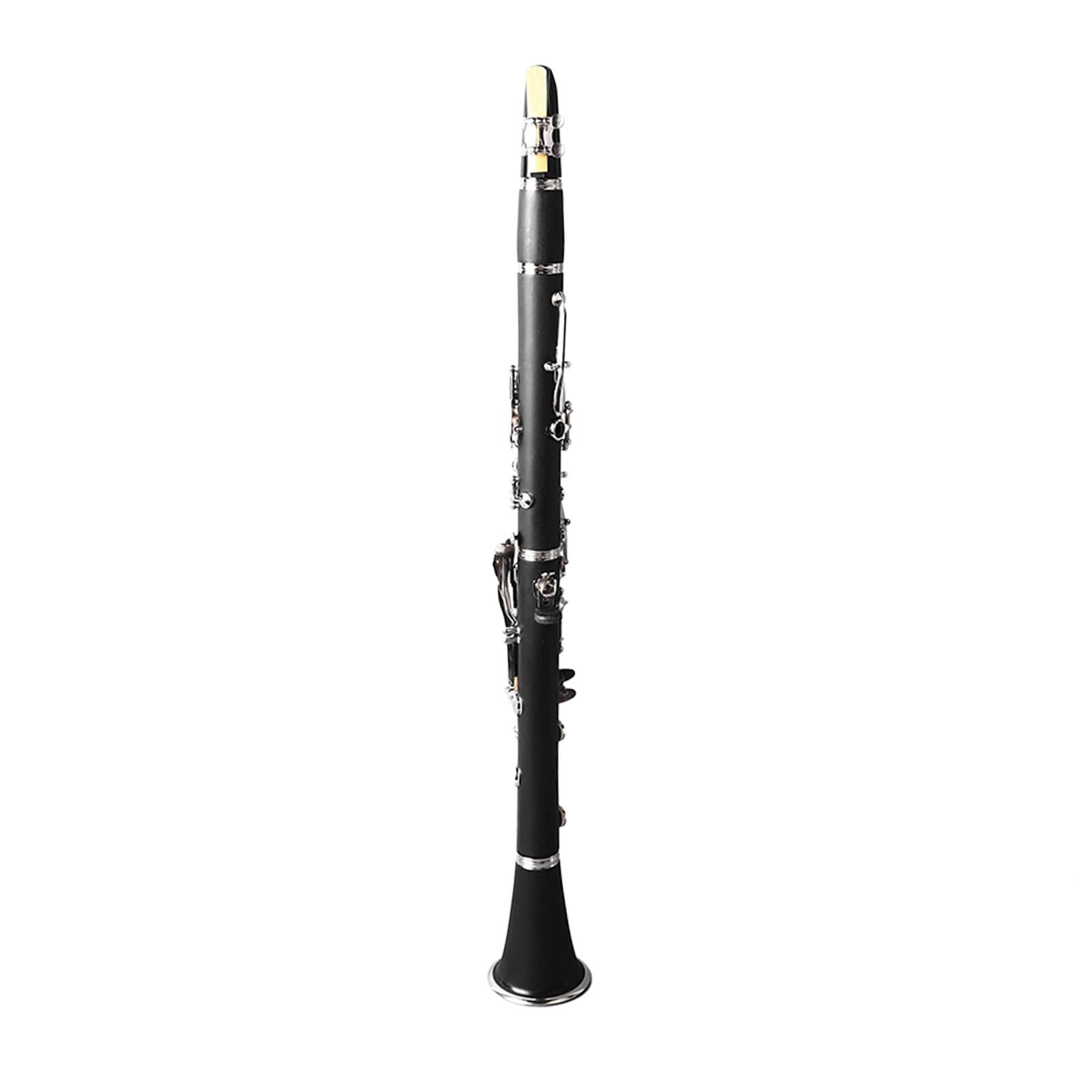 Clarinet Set, Bb Clarinet, Crack Resistant, Full Sound for Performance