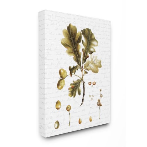 Stupell Industries Autumn Leaf Seeds Seasonal, 16 x 20 Inch Canvas Wall Art