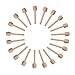 Sohapy 24 Pack 3.1
