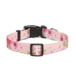 Suredoo Adjustable Dog Collar with Patterns, Ultra