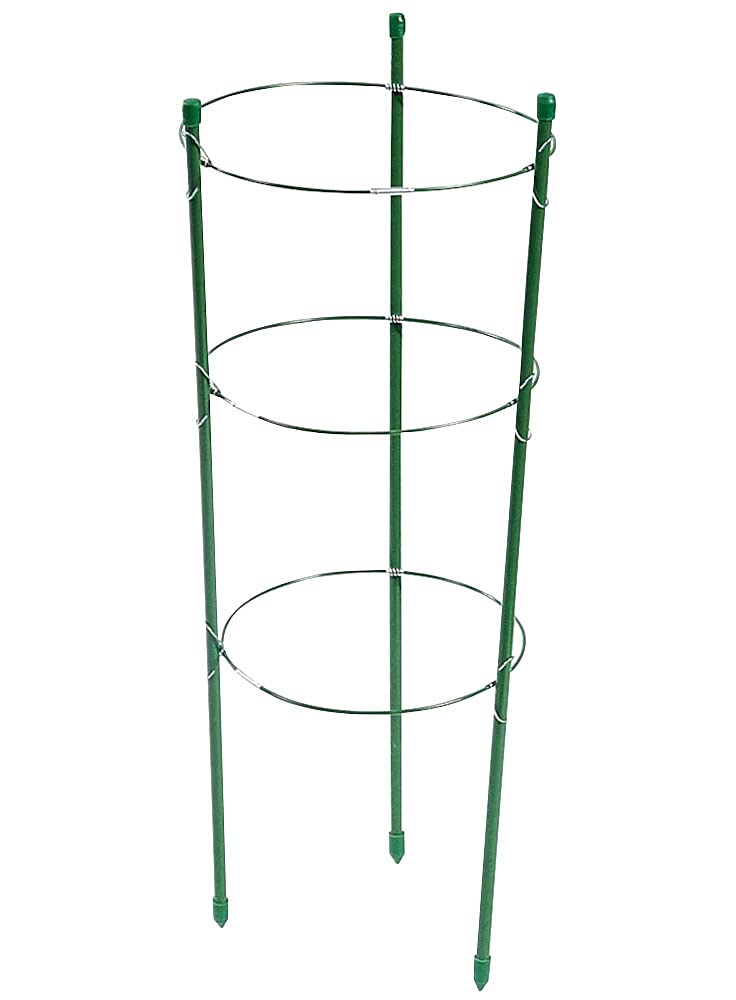 Verdemax 6302 60 cm Support Stake with Circles