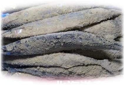 Amazon さんま 北海道 糠 サンマ ぬかさんま 16尾前後 北海道産 糠さんま 冷凍 さんま 秋刀魚 北海道蔵本舗 漬け 酢〆魚 通販