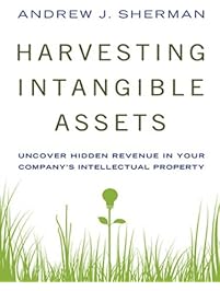 Harvesting Intangible Assets: Uncover Hidden Revenue in Your Company's Intellectual Property