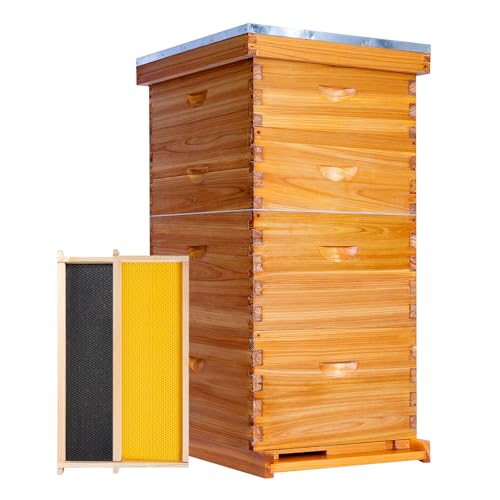 Honey Lake Langstroth Beehive Kit