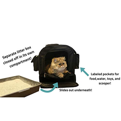 Kitty Obsession AllinOne Cat Carrier Pricepulse