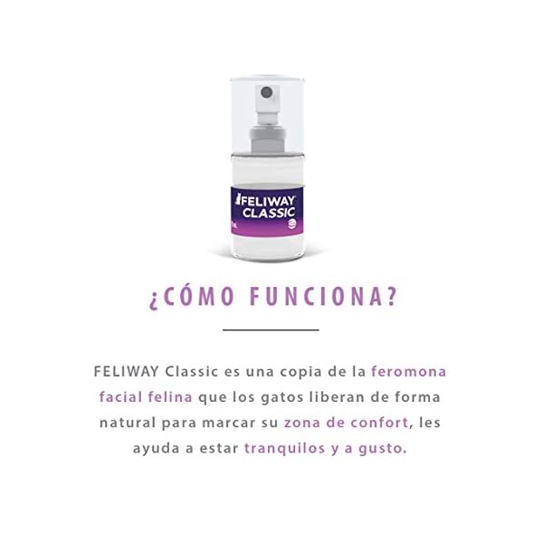 FELIWAY-Classic-20ml-Spray-comforts-cats-and-helps-solve-behavioural-issues-in-the-home-and-on-the-move-20ml FELIWAY Classic 20ml Spray, comforts cats and helps solve behavioural issues and stress/anxiety in the home and on the…