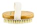 Hand Size Dry Brushing Body Brush - Face, Foot, Leg Exfoliator - Skin Tightening Cellulite Massager for Thighs - Natural Bristle Scrubber for Exfoliating Dead Skin & Lymphatic Drainage