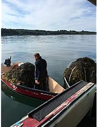 Raw Wild Dulse algas marinas USDA orgánico y Kosher mano cosechada del océano Atlántico Maine Coast...
