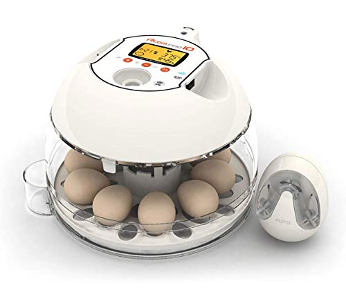 R-COM Inkubator R-COM10 PRO PLUS für 10 Eier