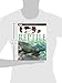 DK Eyewitness Books: Reptile