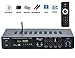 Tianji Audio Amplifiers for Home Audio Theater, 5.1 Channel 400W Powered Amp, Lossless Hi-Fi Audio Stereo Receiver, Bass/Treble/Echo EQ Controls, USB/Bluetooth/TF Card/FM Supportedthumb 4