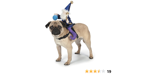 Amazon.com: Zack \u0026 Zoey Disfraz de perro de silla de montar, pequeño :  Productos para Animales