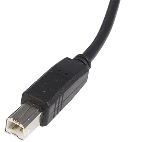 SANOXY USB 2.0 Cable Type A Male to Type B Male 6 ft, Black