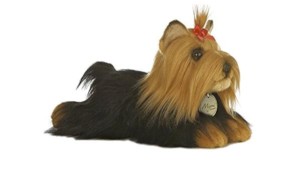 yorkshire terrier brush