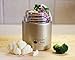 Hydro Peak Stainless Steel Vacuum Sealed Food Thermos Jar, Insulated Leak Proof Lunch Container Stays Warm 8 and Cold 12 Hours, Wide 20 oz (600 ml), Color Gold-Champagne (Extra Seal Gasket Included)