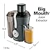 Hamilton Beach Pro Juicer Machine, Big Mouth Large 3
