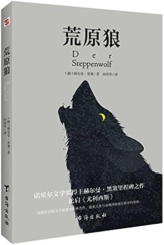Amazon.com: Siddhartha (Hardcover) (Chinese Edition