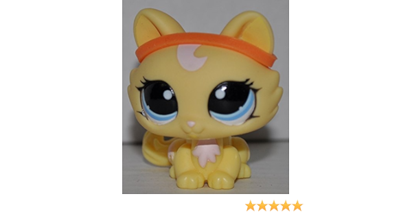 lps kittens amazon
