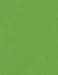 Clear Path Paper Fern Green Cardstock - 8.5 x 11 inch - 65Lb Cover - 50 Sheets