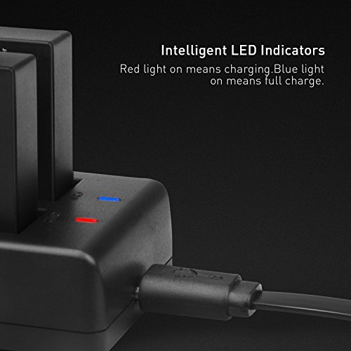 Crosstour Action Camera Battery Dual Rechargeable 1350mAh Batteries