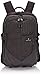 Victorinox Altmont 3.0 Deluxe Laptop Backpack With Tablet Pocket, Black, 19-inch