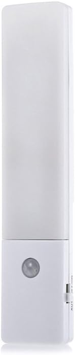 The 10 Best Vertical Ladder For Attic