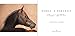 Horse: A Portrait: A Photographer's Life With Horses