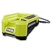 Ryobi OP4026 40-Volt Lithium-ion Battery and OP400A 40 Volt Lithium-ion Charger