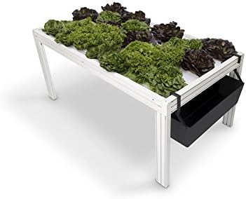 Mesa de cultivo hidropónico Minicamp: Amazon.es: Jardín