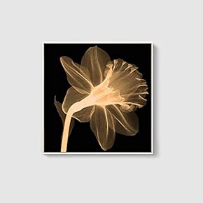 Framed Canvas Home Artwork Decoration Beautiful Flower Canvas Wall Art for Living Room, Bedroom - 16x16 inches
