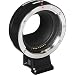 Canon M50 Mirrorless Camera Lens Bundle; 15-45mm is STM, 75-300mm III, 500mm, Lens Converter, T-Mount, Lexar 64GB U3 and Accessory Bundlethumb 3