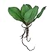 1 Branch Faux Butterfly Orchid Leaf Simulation Grass Home Decoration Green