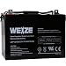 Weize 12V 100AH Deep Cycle AGM SLA VRLA Battery for Solar System RV Camping Trolling Motor, in Series 24V 36V 48V