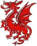 Dragons - Chinese Fire Breathing Red Mystical Dragon Logo Patch