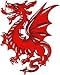 Dragons - Chinese Fire Breathing Red Mystical Dragon Logo Patch