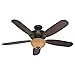 Hunter 53255 Markley 56-Inch Onyx Bengal Ceiling Fan with Five Burnished Cherry Blades and a Light Kit