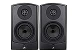Aperion Audio 25-Inch