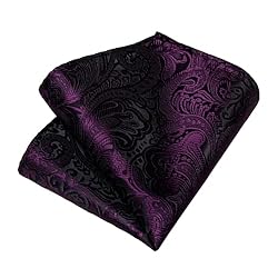 DiBanGu Silk Paisley Ties for Men Woven Necktie and