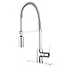 Enzo Rodi ERF7209251CP-10 Modern Commercial Kitchen Faucet With Pull-Down Sprayer,Polished Chrome