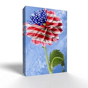 US Flag on Flower