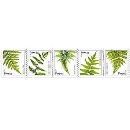 USPS Ferns Forever Stamps - 25 Stamps