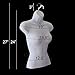 EZ-Mannequins Female Mannequin Torso, Dress Form Hollow Back Body Tshirt Display, w/Plastic Stand for Counter Top for Craft Shows, Photos or Design, Easy to Assemble and Store, S-M Sizes, White Color