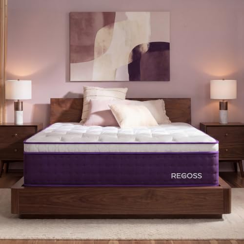 REGOSS 14 Inch Hybrid Mattress