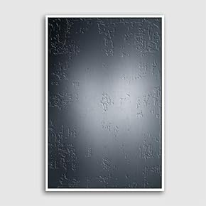 Framed Canvas Wall Art for Living...