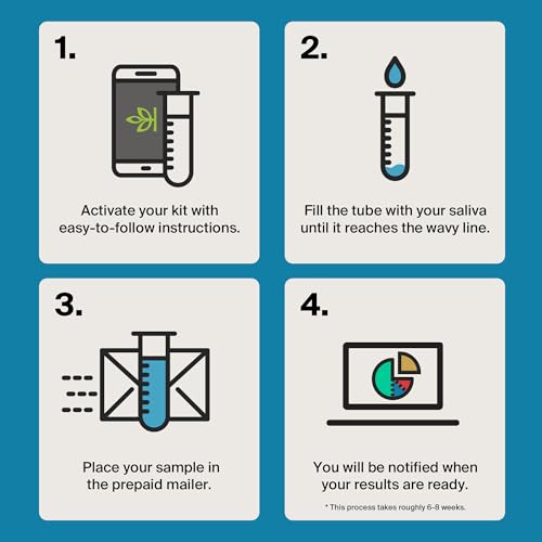 AncestryDNA Test Kit Personalized Results, DNA