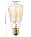 Rolay 4 Pack, 25 Watt Vintage Edison Light Bulb with Squirrel Cage Filament, 110~130 Volts, E26 Base