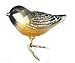 Old World Christmas Cheery Chickadee Glass Blown Ornament for Christmas Tree, Handcrafted Holiday Decoration, Bird Watcher Clip Collection