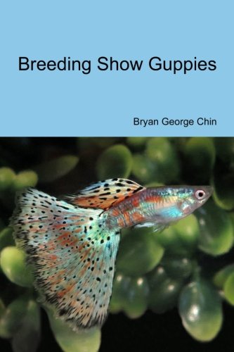 Breeding Show Guppies by Bryan George Chin