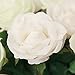 Bringsine Baby Breath Gypsophila Wedding Decoration Artificial Flowers 40 Pieces/lot-Purple