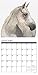 2017 What Horses Teach Us Mini Wall Calendar